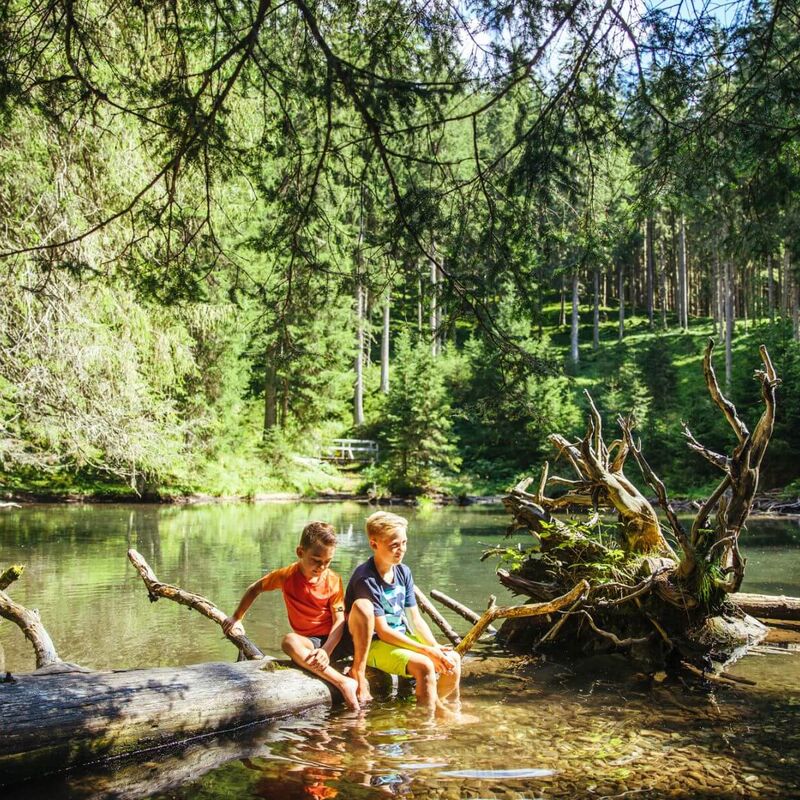 2 Jungen sitzen auf einem Baumstamm im Waldteich