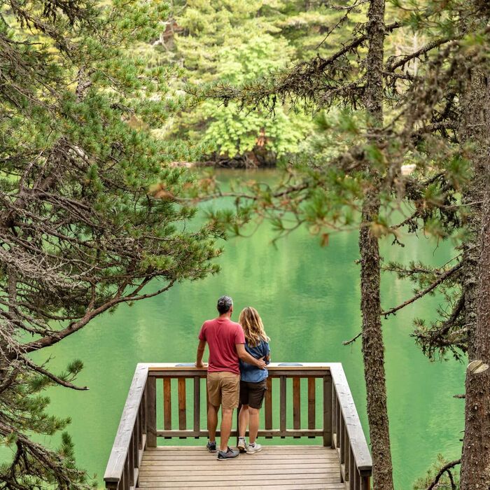 Türkiser See und traumhafter Zirbenwald auf der Turracher Höhe - perfekter Photospot
