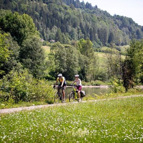 Murradweg in der Natur in der Steiermark