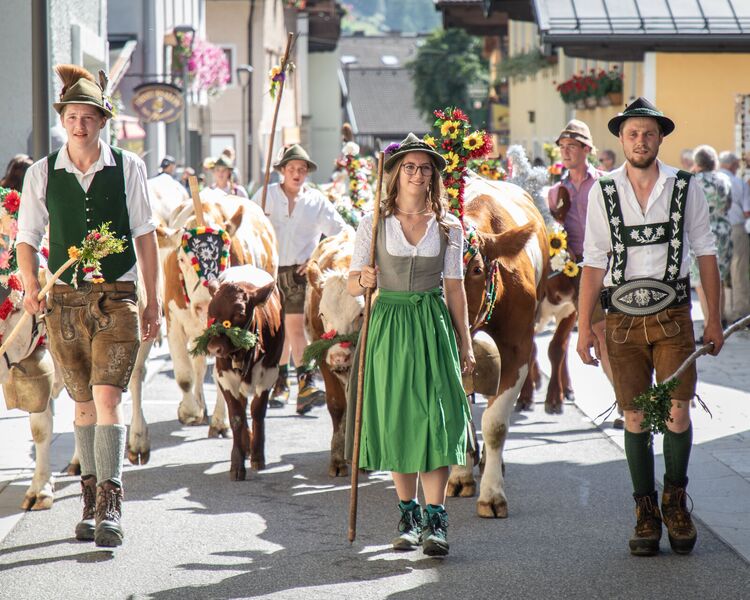 Kühe geschmückt mit Blumen und Menschen in Tracht beim Bauernherbst