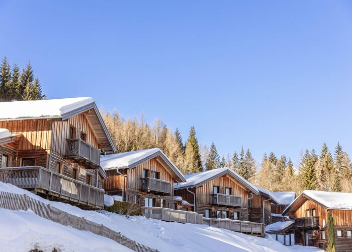 Alpendorf Dachstein West by ALPS RESORTS