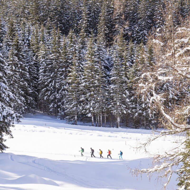 Schneeschuhwandern in Kolm Saigurn, Raurisertal (c) Ferienregion Nationalpark Hohe Tauern