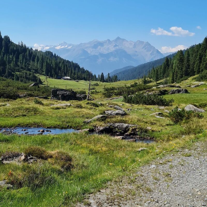 Ausblick von der Filzenscharte auf die Hohen Tauern