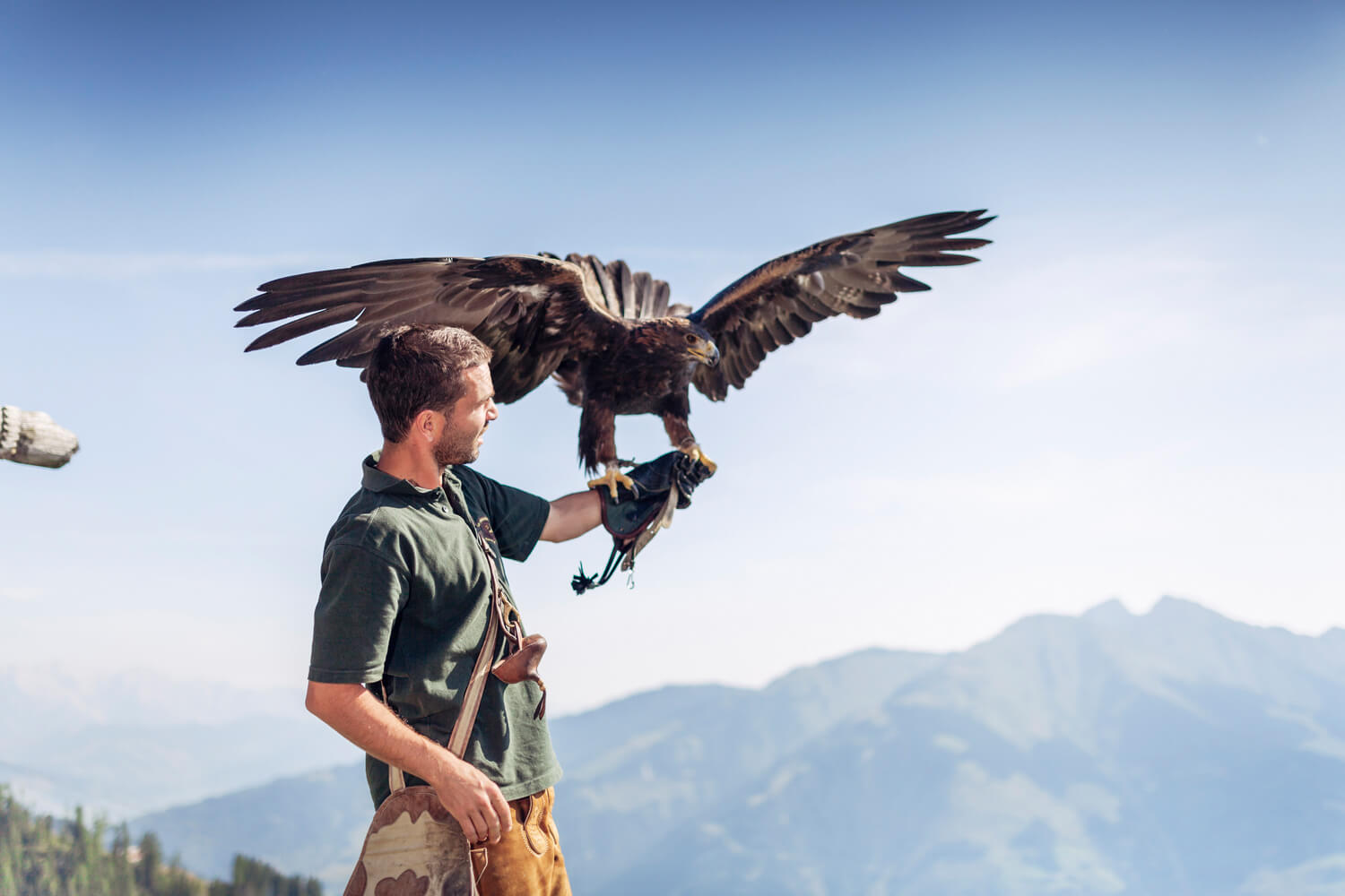Falconer with golden eagle in front of a mountain backdrop