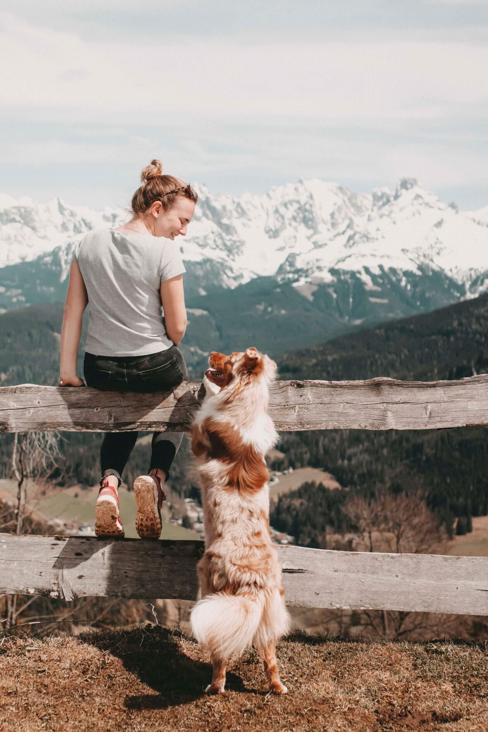 drivys adventures alps resorts 2304 11