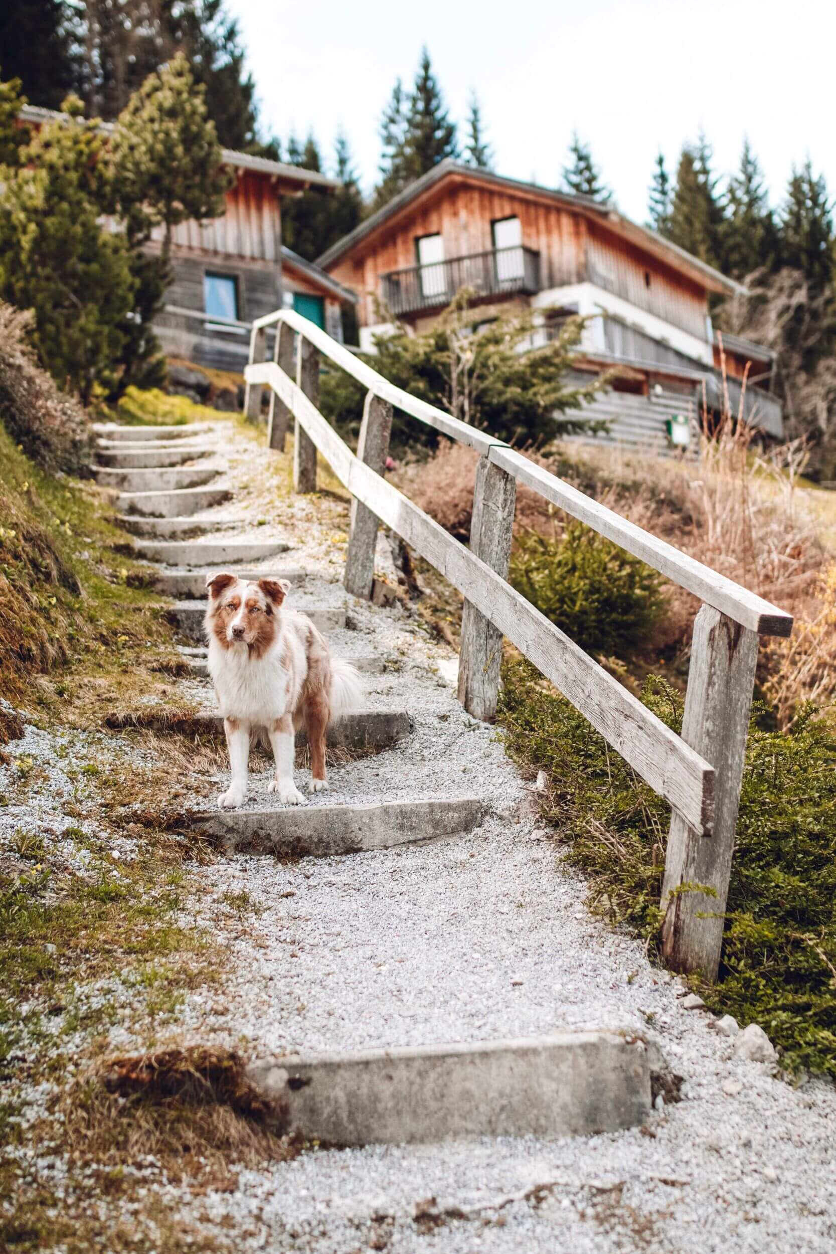 drivys adventures alps resorts 2305 19