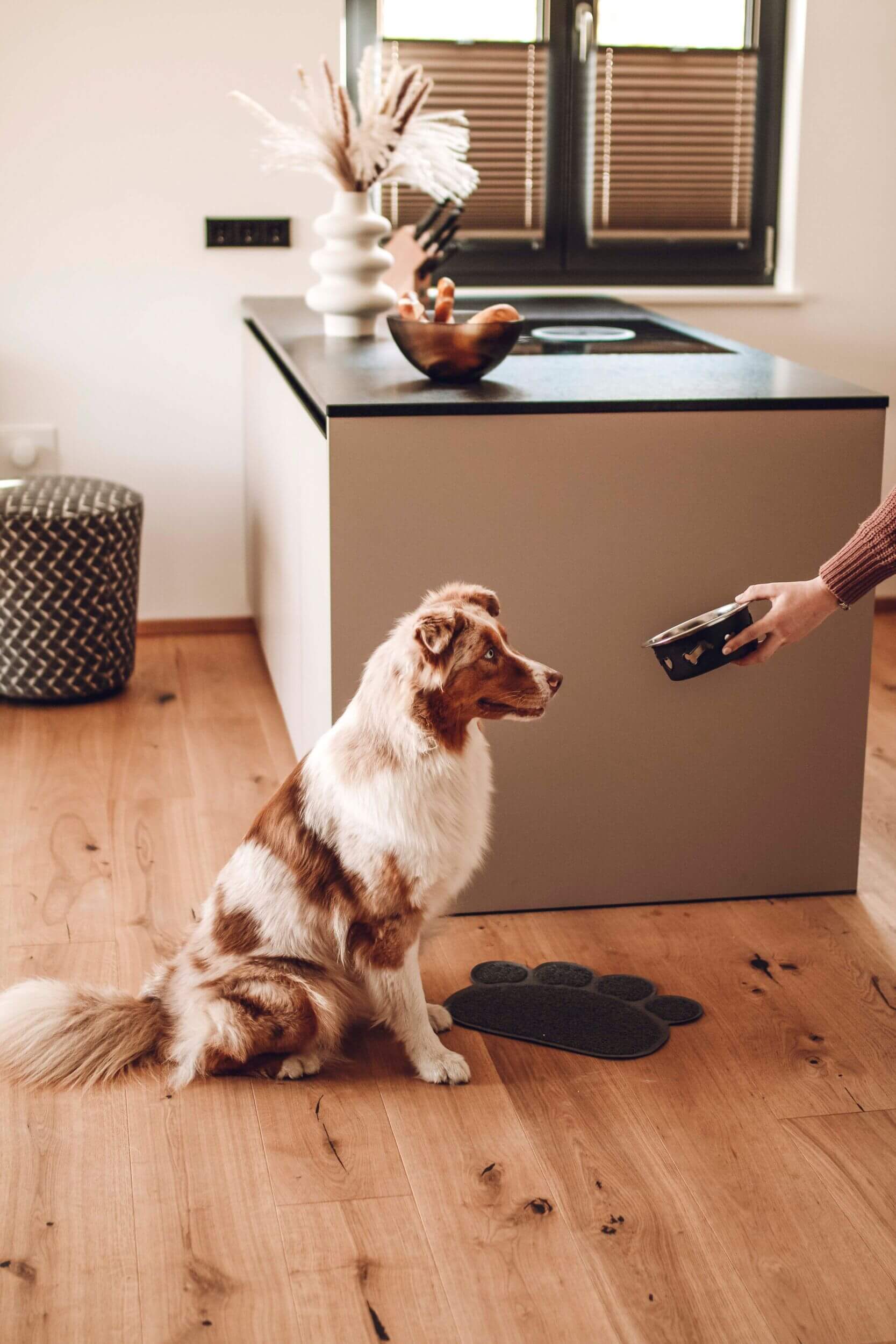 drivys adventures alps resorts 2305 35