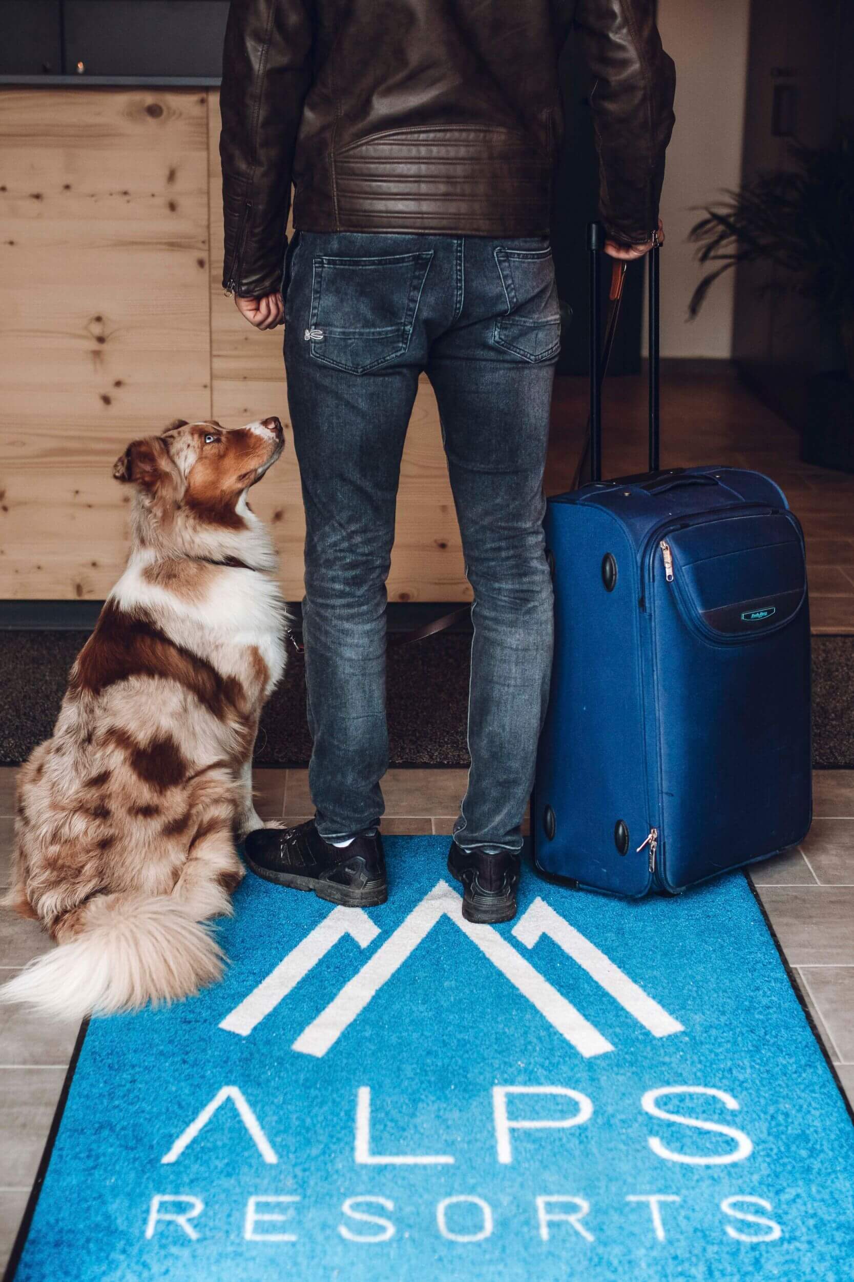 drivys adventures alps resorts 2305 46