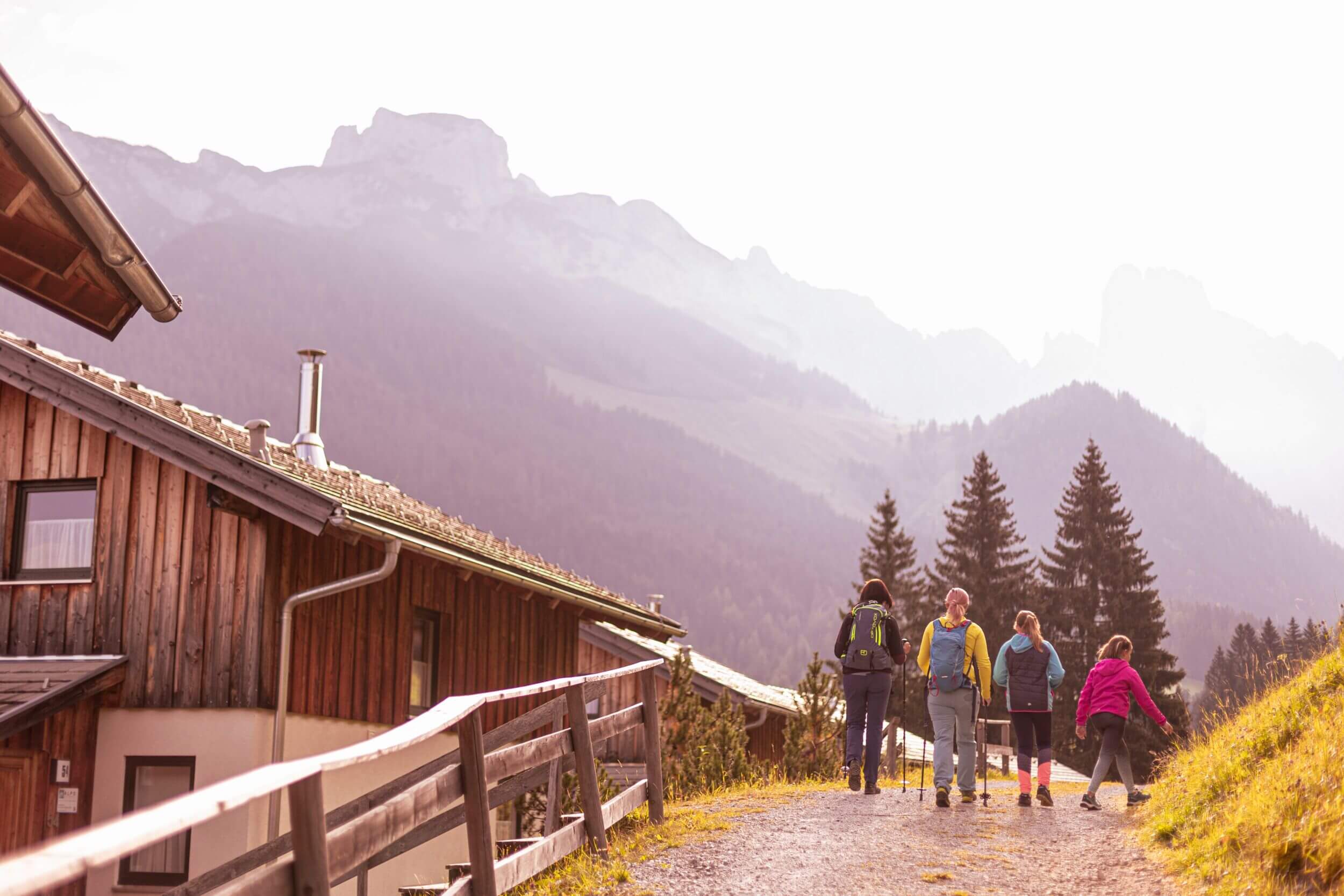 adw sport fta 0921 01 1